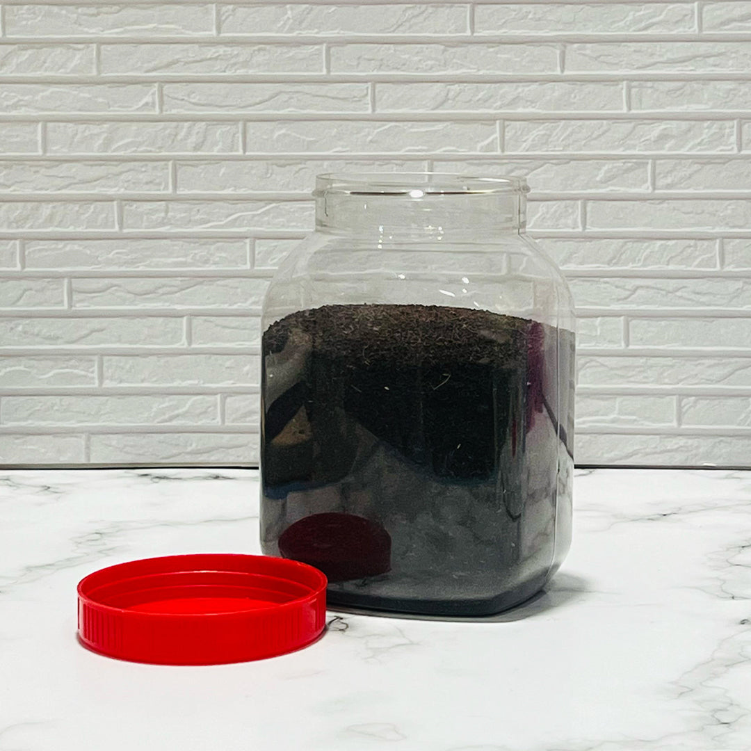 Tea Jar